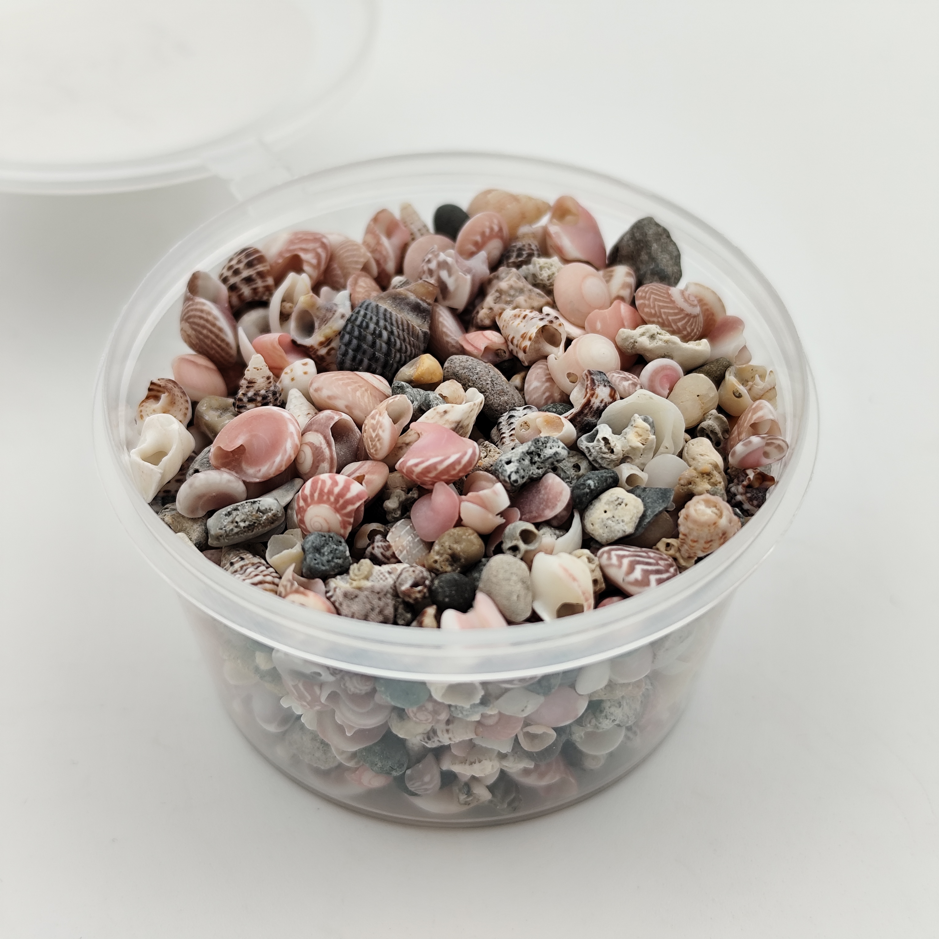 صدف و گوش ماهی